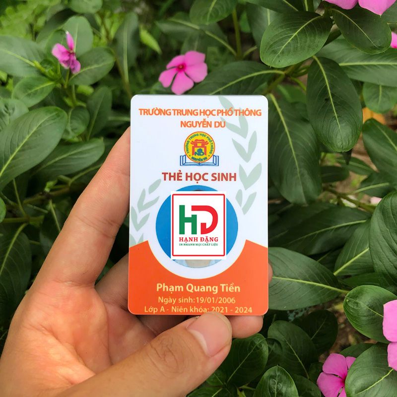 Thẻ Học Sinh PVC Cao Cấp